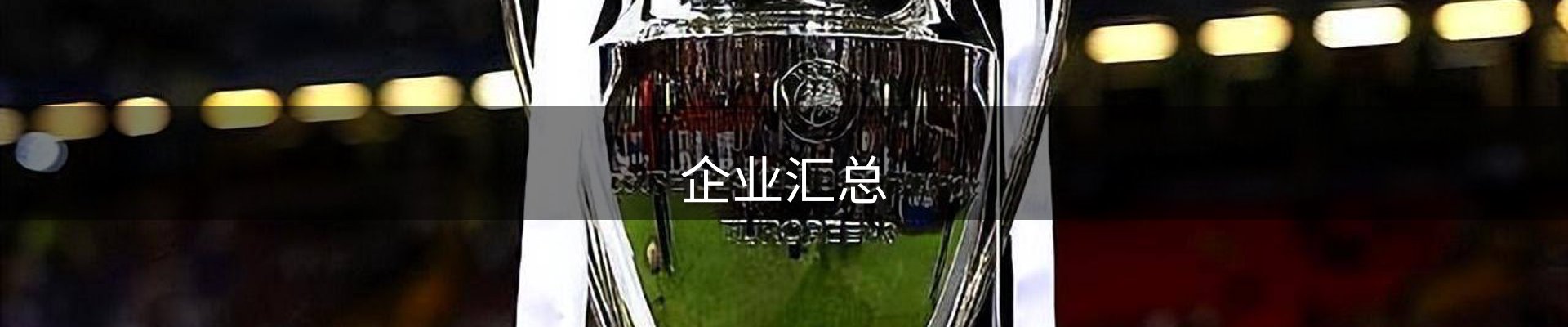 企业汇总